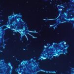 Sorry! Image not available at this time