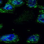 Sorry! Image not available at this time