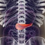 Sorry! Image not available at this time