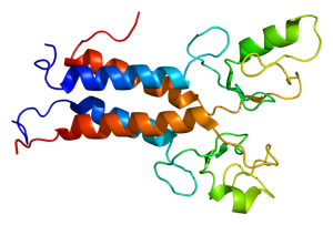 BRCA1