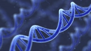 scotus-dna