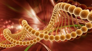 DNA