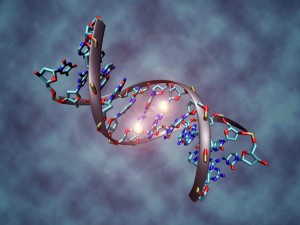 Oncology News Australia DNA tag linked to development of endometrial cancer