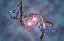 Oncology News Australia DNA tag linked to development of endometrial cancer
