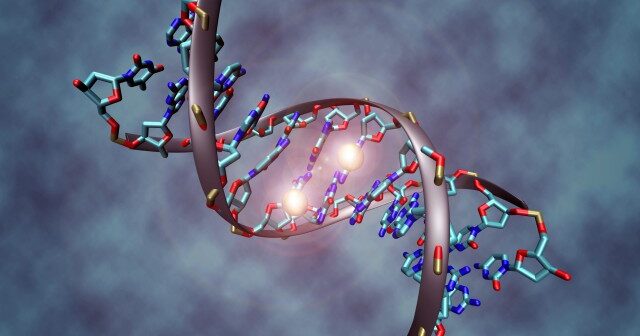 Oncology News Australia DNA tag linked to development of endometrial cancer