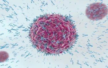B cells linked to effective cancer immunotherapy