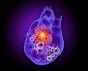 Heart radiation oncology news australiaX800