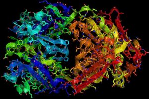 Herceptin wiki 800x531
