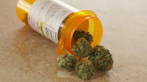 MedicalMarijuana_oncology news australia