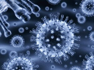 Nanoparticles track and deliver cancer drugs Oncology News Australia