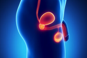 Prostate oncologynews