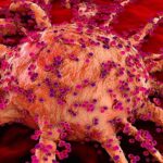 Sorry! Image not available at this time