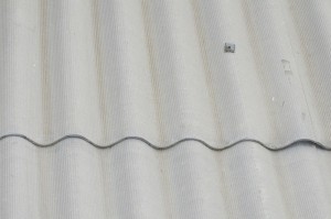 ACM Roof Panels
