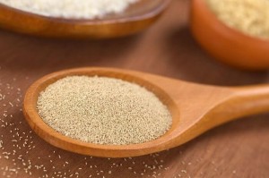 bakers yeast_oncology news australia