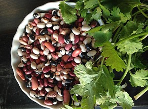 beans legumes_oncology news australia