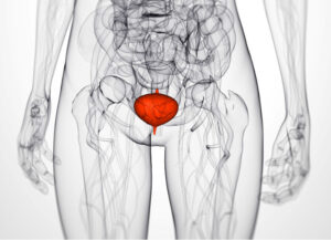 bladder female oncology news australia_800x579