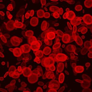 blood cells red