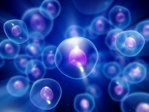 blue cells