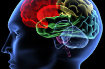 oncologynews.com.au brain cancer polymer
