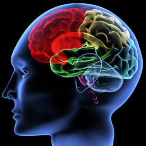 oncologynews.com.au brain cancer polymer