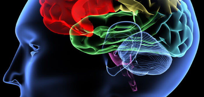 oncologynews.com.au brain cancer polymer