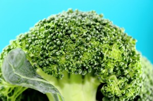 Fresh broccoli