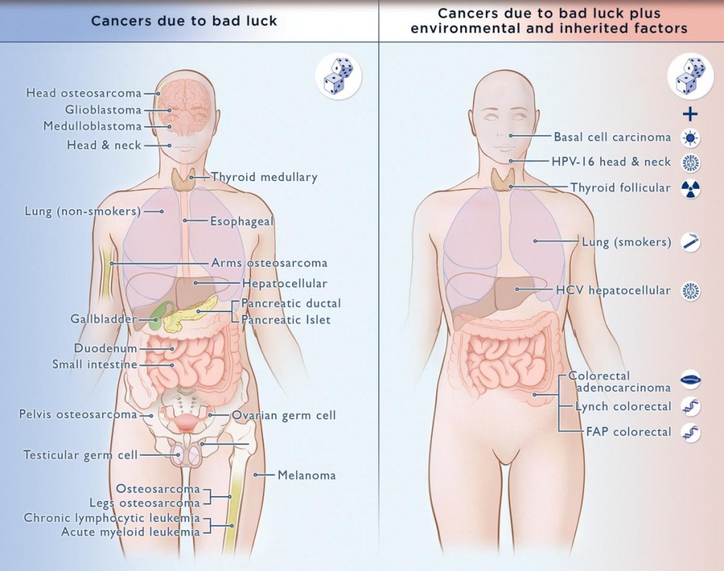 cancers due to bad luck plus environmental factors