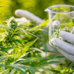 Sorry! Image not available at this time