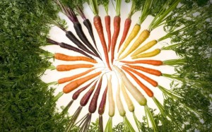 carrots oncology news australia