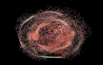 ‘Fiery’ cell death during bladder cancer treatment may trigger chemotherapy resistance