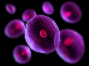 cells-oncologynewsaustralia