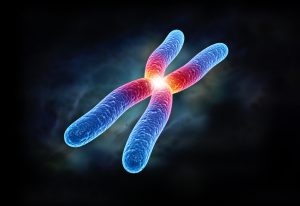 chromosome colour_oncology news australia