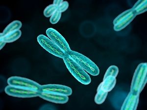 chromosome-oncology news australia