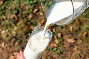 dairy milk jug glass outdoor diet_oncology news australia