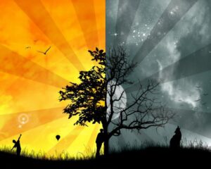 day and night oncology news australia