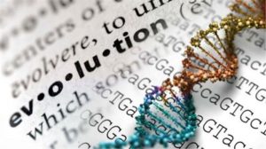 evolution concept_oncology news australia