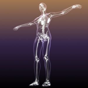 female 3d skeleton graphic_oncology news australia