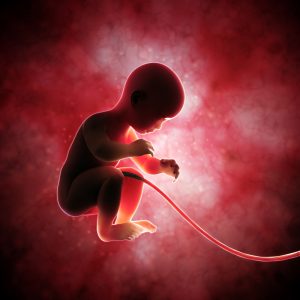fetus umbilical cord womb uterus concept floating_oncology news australia