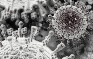 flu virus