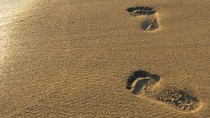 foot prints in sand_oncology news australia