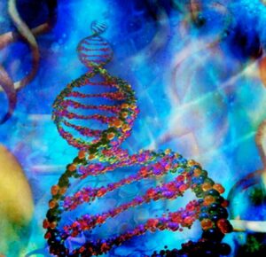 dna 