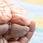 Sorry! Image not available at this time