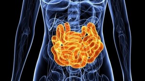 gut bacteria microbiome concept colon_oncology news australia