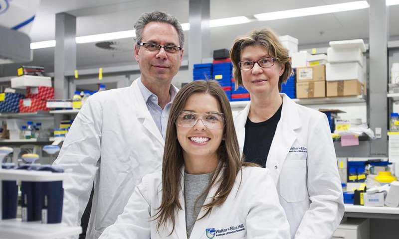 Professor Geoff Lindeman, PhD student Ms Emma Nolan and Professor Jane Visvader have discovered a potential new way to prevent breast cancer in some at-risk women.