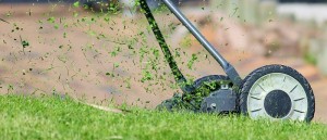 lawn mowing exercise outdoors gardening_oncology news australia