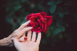 life death connection spirtuality age youth senior stages of life flower hands concept_oncology news australia