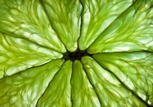 lime citrus oncology news australia_800x500