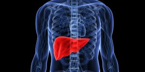 liver cancer_oncology news australia