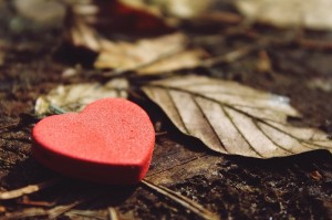 love gratitude outdoor joy concept_oncology news australia