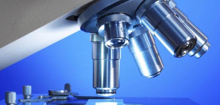 oncologynews.com.au cancer cell